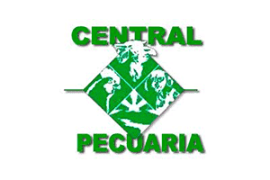 Cliente 1